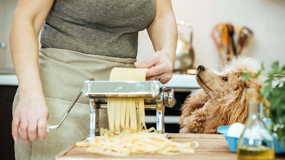 Can Dogs Eat Pasta or Noodles? | Purina